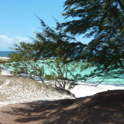 Souvenir du voyage de Jean, Madagascar