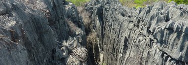 Souvenir du voyage de Jean, Madagascar