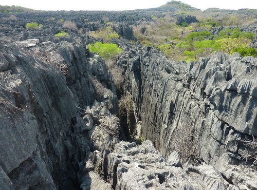Souvenir du voyage de Jean, Madagascar