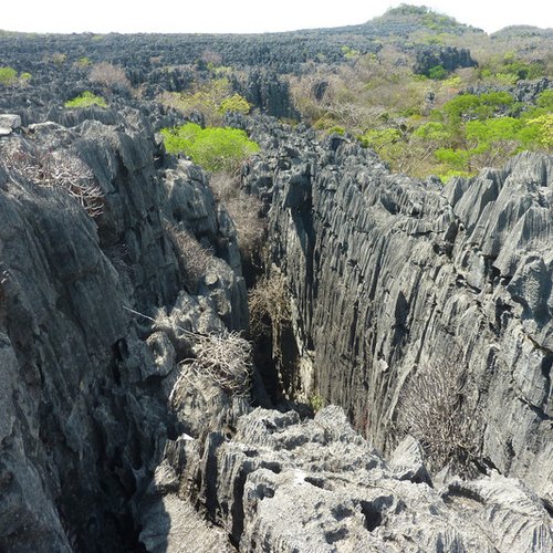 Souvenir du voyage de Jean, Madagascar