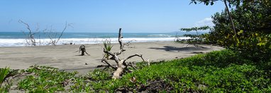 Souvenir du voyage de Dominique, Costa Rica