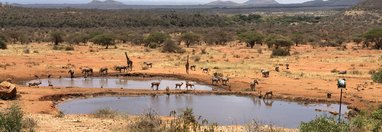 Souvenir du voyage de Stephanie, Kenya