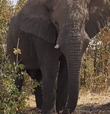 Souvenir du voyage de valérie, Namibie