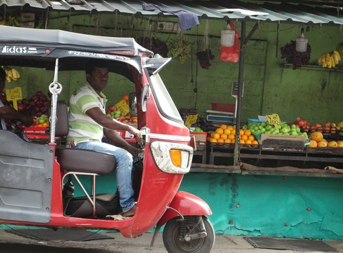 Souvenir du voyage de Georges, Sri Lanka