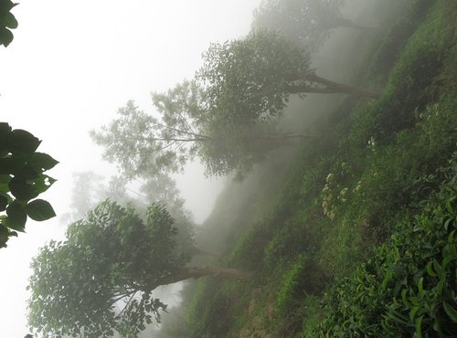 Souvenir du voyage de Georges, Sri Lanka