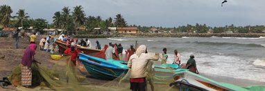 Souvenir du voyage de Georges, Sri Lanka