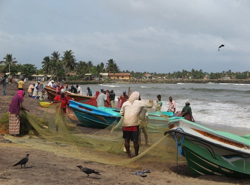 Souvenir du voyage de Georges, Sri Lanka