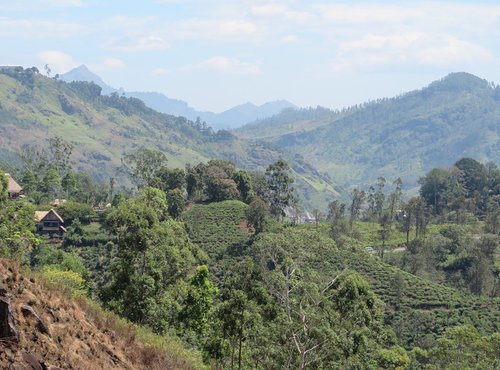 Souvenir du voyage de Georges, Sri Lanka