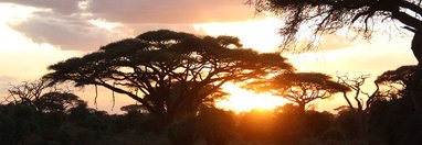 Souvenir du voyage de Anne Sophie, Kenya