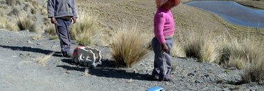 Souvenir du voyage de Hervé, Bolivie