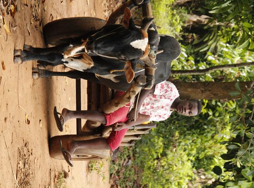 Souvenir du voyage de André, Tanzanie