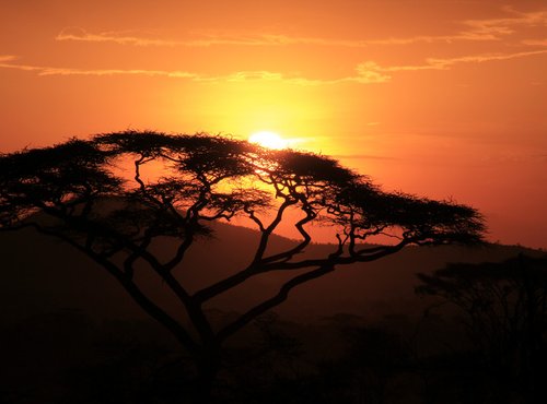 Souvenir du voyage de André, Tanzanie