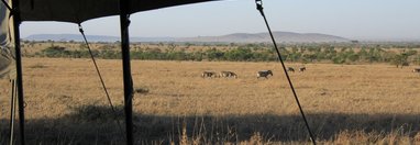 Souvenir du voyage de André, Tanzanie