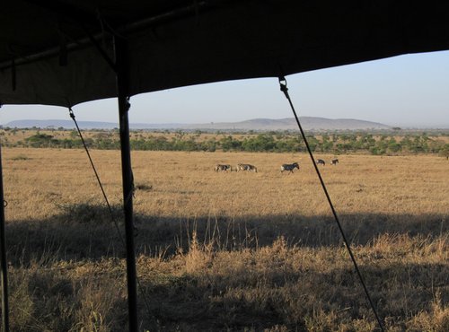 Souvenir du voyage de André, Tanzanie
