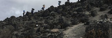 Souvenir du voyage de Eric, Tanzanie