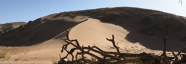 Souvenir du voyage de Busba, Namibie
