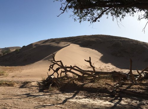 Souvenir du voyage de Busba, Namibie