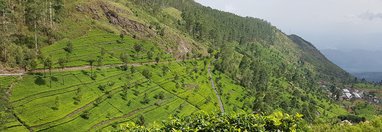 Souvenir du voyage de Herve, Sri Lanka