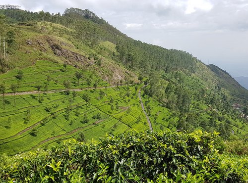 Souvenir du voyage de Herve, Sri Lanka