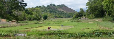 Souvenir du voyage de Bernard, Madagascar