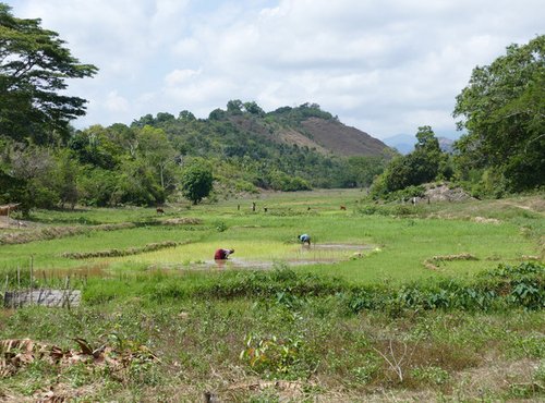 Souvenir du voyage de Bernard, Madagascar