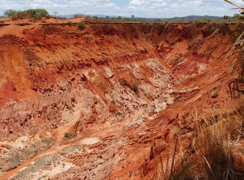 Souvenir du voyage de Bernard, Madagascar