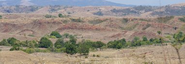 Souvenir du voyage de Bernard, Madagascar