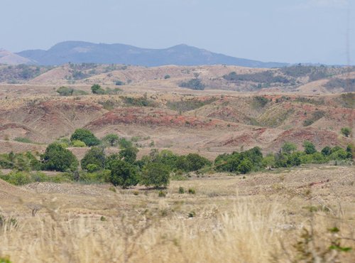 Souvenir du voyage de Bernard, Madagascar