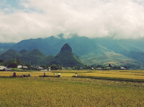 Souvenir du voyage de Julie, Vietnam