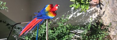 Souvenir du voyage de Helene, Guatemala