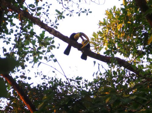 Souvenir du voyage de Patricia, Costa Rica