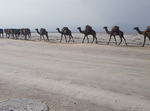 Souvenir du voyage de Francois, Ethiopie