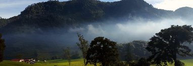 Souvenir du voyage de Gerard, Guatemala