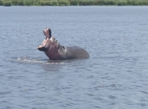 Souvenir du voyage de Stéphane, Tanzanie