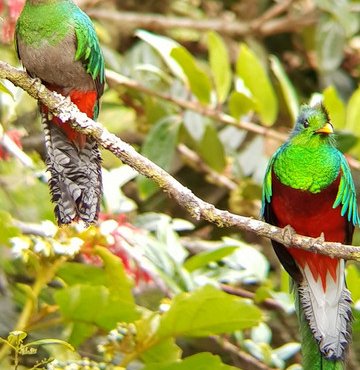 Souvenir du voyage de Olivier, Costa Rica