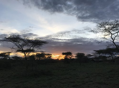 Souvenir du voyage de Nizar, Tanzanie