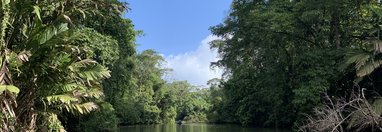 Souvenir du voyage de Angélique, Costa Rica