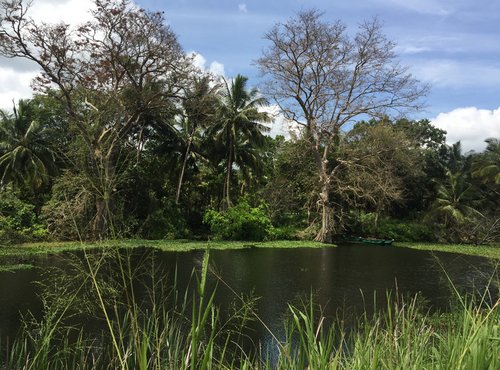 Souvenir du voyage de Pierre, Sri Lanka