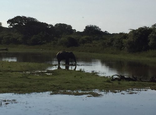 Souvenir du voyage de Pierre, Sri Lanka