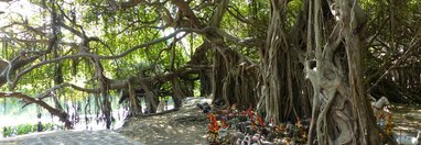 Souvenir du voyage de Françoise, Thaïlande