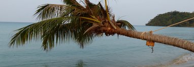 Souvenir du voyage de Françoise, Thaïlande