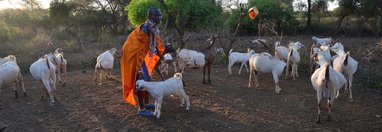 Souvenir du voyage de Patrice, Kenya