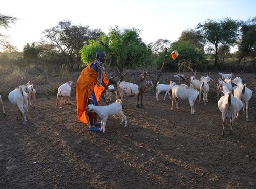 Souvenir du voyage de Patrice, Kenya