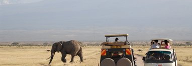 Souvenir du voyage de Patrice, Kenya