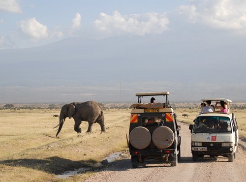 Souvenir du voyage de Patrice, Kenya