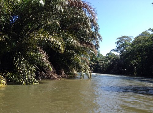 Souvenir du voyage de Michel, Costa Rica