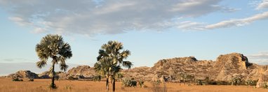 Souvenir du voyage de David, Madagascar