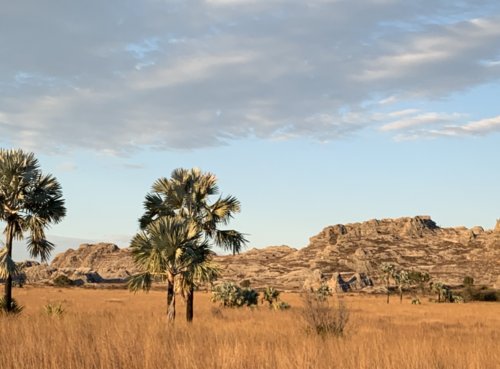 Souvenir du voyage de David, Madagascar