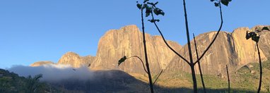 Souvenir du voyage de David, Madagascar