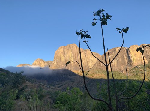 Souvenir du voyage de David, Madagascar